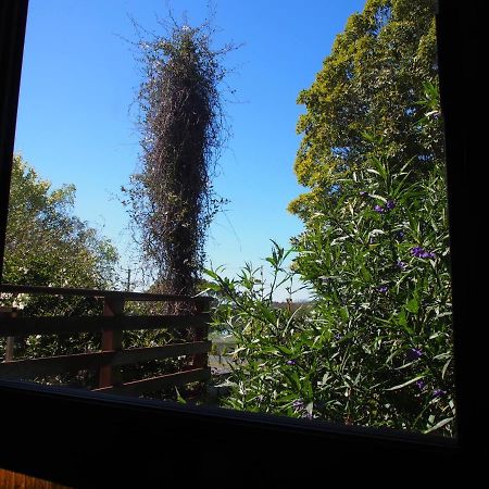Cosy, Comfortable Cottage - Views & Location Plus Beauty Point Екстериор снимка