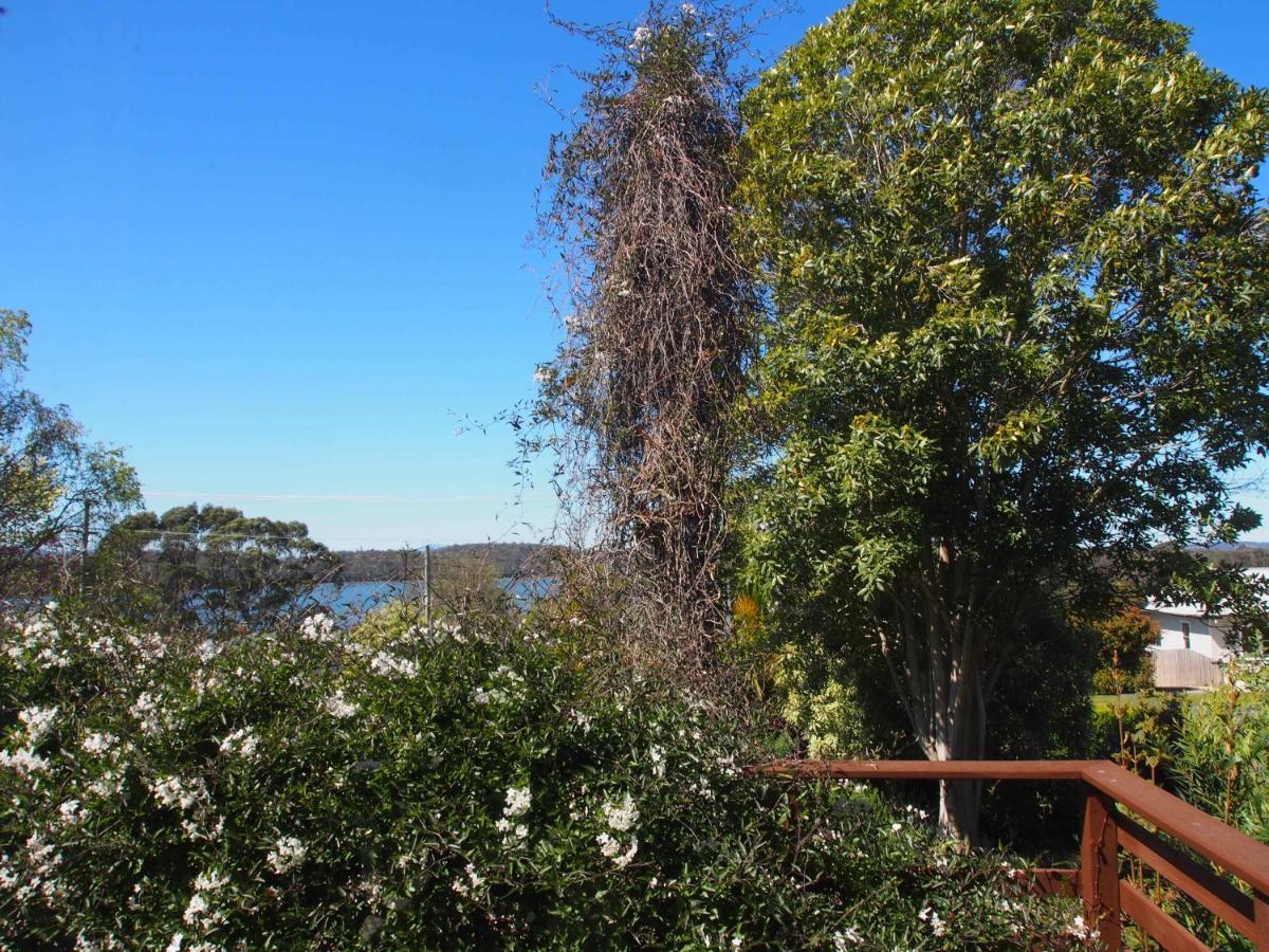 Cosy, Comfortable Cottage - Views & Location Plus Beauty Point Екстериор снимка