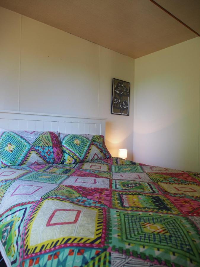 Cosy, Comfortable Cottage - Views & Location Plus Beauty Point Екстериор снимка